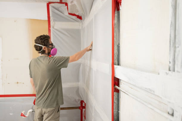 Best Mold Damage Restoration  in East Gaffney, SC