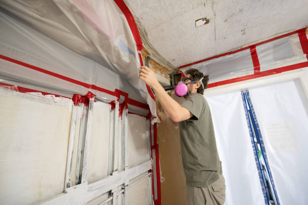 Best Basement Mold Removal  in East Gaffney, SC