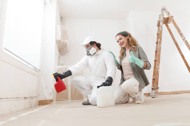 Professional Mold Removal in East Gaffney, SC